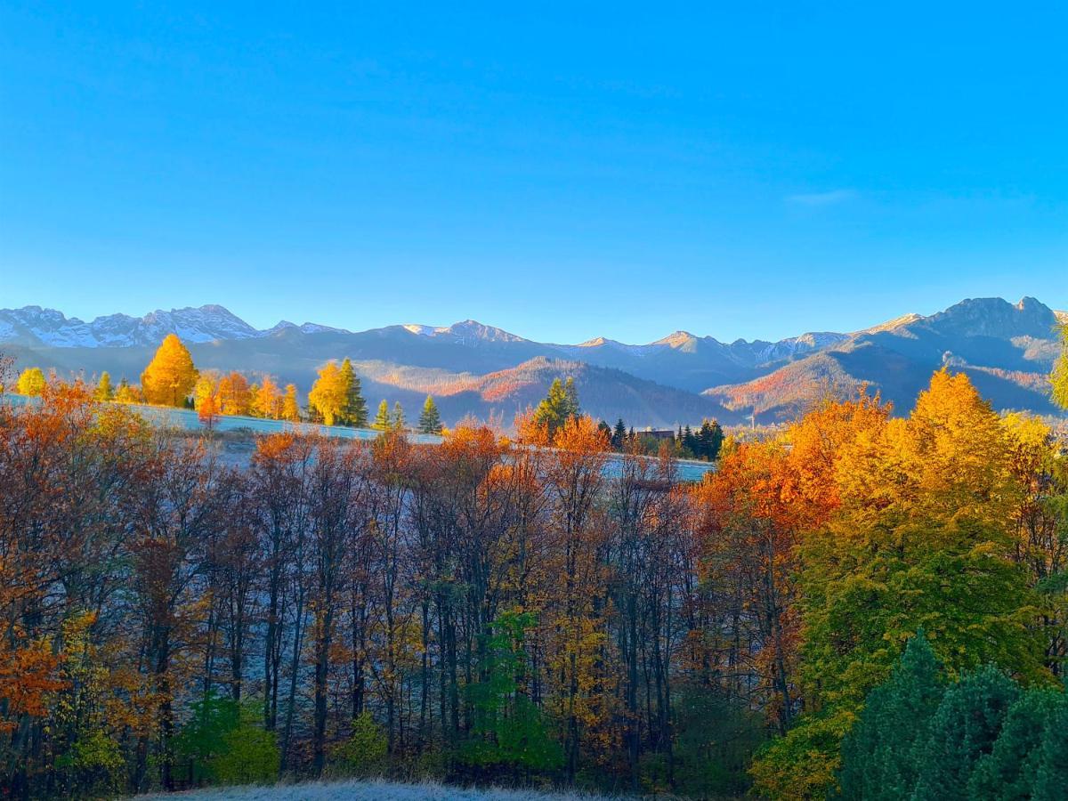 Apartamenty Skalna Chata Zakopane Exteriör bild